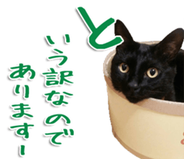 The black cat Sticker 2 sticker #13552456