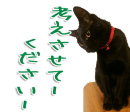 The black cat Sticker 2 sticker #13552459