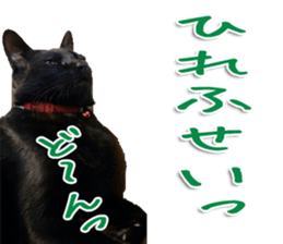 The black cat Sticker 2 sticker #13552465