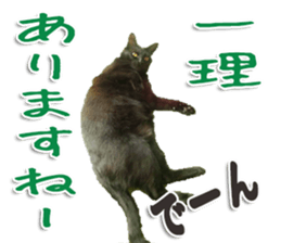 The black cat Sticker 2 sticker #13552468