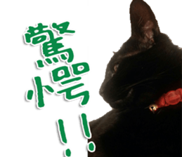 The black cat Sticker 2 sticker #13552469