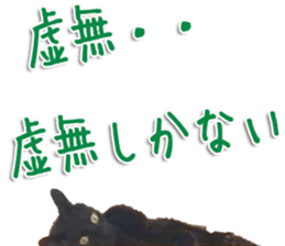 The black cat Sticker 2 sticker #13552477