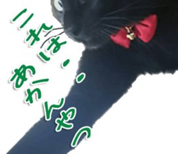 The black cat Sticker 2 sticker #13552482