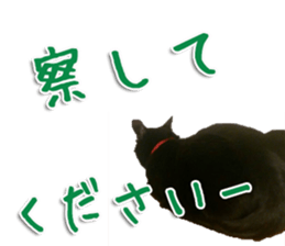 The black cat Sticker 2 sticker #13552493