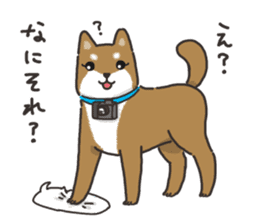 Ladylike dog girl "Namikoro3" sticker #13552570