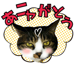 cute Mr.Umi sticker #13552918