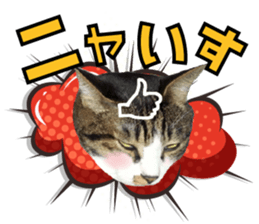 cute Mr.Umi sticker #13552920