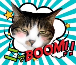 cute Mr.Umi sticker #13552921