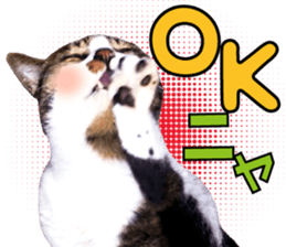 cute Mr.Umi sticker #13552922