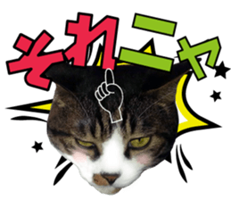 cute Mr.Umi sticker #13552924