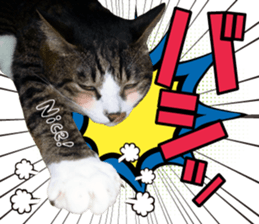 cute Mr.Umi sticker #13552925