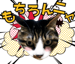 cute Mr.Umi sticker #13552926