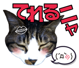 cute Mr.Umi sticker #13552927