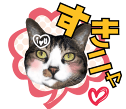 cute Mr.Umi sticker #13552928