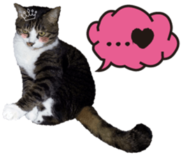 cute Mr.Umi sticker #13552929