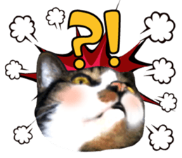 cute Mr.Umi sticker #13552930