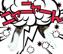 cute Mr.Umi sticker #13552932