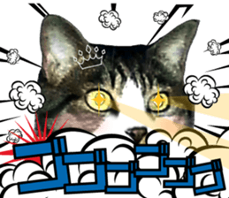 cute Mr.Umi sticker #13552933