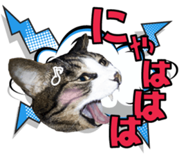 cute Mr.Umi sticker #13552934