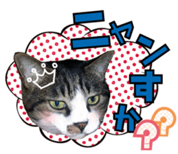 cute Mr.Umi sticker #13552935