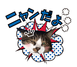 cute Mr.Umi sticker #13552936