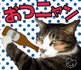 cute Mr.Umi sticker #13552939