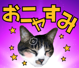 cute Mr.Umi sticker #13552940