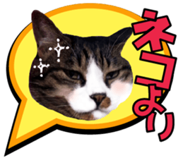 cute Mr.Umi sticker #13552941