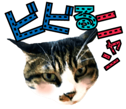 cute Mr.Umi sticker #13552943