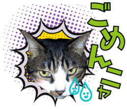 cute Mr.Umi sticker #13552944