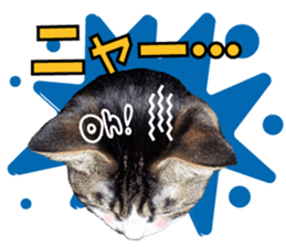 cute Mr.Umi sticker #13552945