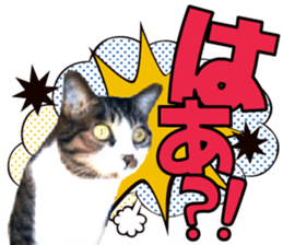 cute Mr.Umi sticker #13552948