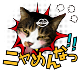 cute Mr.Umi sticker #13552949