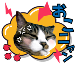 cute Mr.Umi sticker #13552951