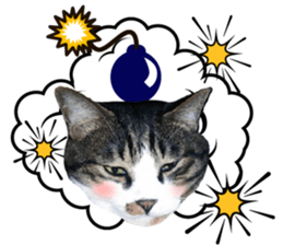 cute Mr.Umi sticker #13552952