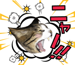 cute Mr.Umi sticker #13552954