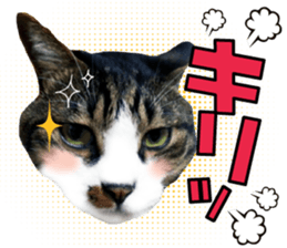 cute Mr.Umi sticker #13552956