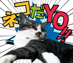 cute Mr.Umi sticker #13552957