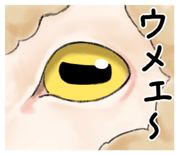 Eyes Sticker sticker #13554096