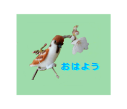 wool is a bird sticker of felt. sticker #13554262