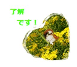 wool is a bird sticker of felt. sticker #13554265