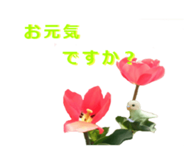 wool is a bird sticker of felt. sticker #13554266