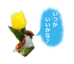 wool is a bird sticker of felt. sticker #13554267