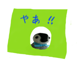 wool is a penguin sticker of felt. sticker #13554484