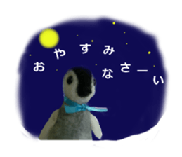 wool is a penguin sticker of felt. sticker #13554485