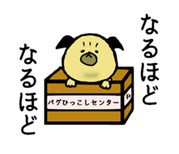 Pug's greetings sticker #13554742