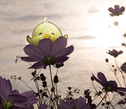 The Thinker bird4 message of photo sticker #13554898