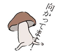 Shiitake mushrooms shiitakeo moves sticker #13555178