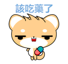 Shiba inu-Animated Stickers-Part2 sticker #13555229