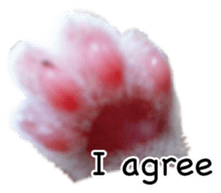 Picture of the kitten 4 English version sticker #13555759